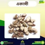 একাঙ্গী – Clerodendrum Serratum