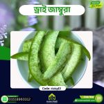 ড্রাই জাম্বুরা